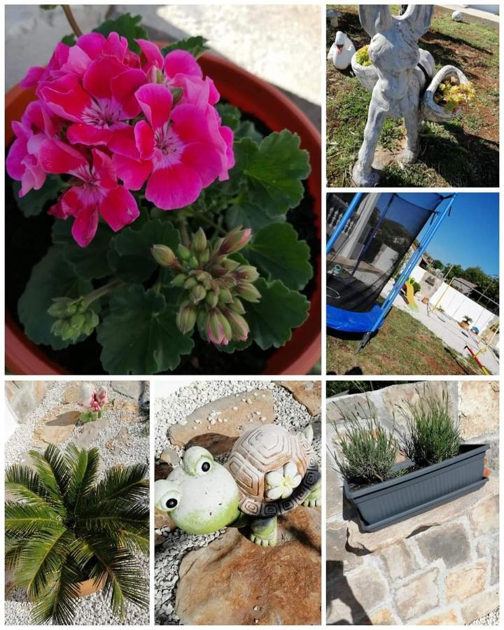 Villa Roza 2 Marina Εξωτερικό φωτογραφία